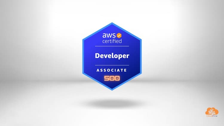 Ultimate AWS Developer Associate Practice Exams 2024  500+ Q