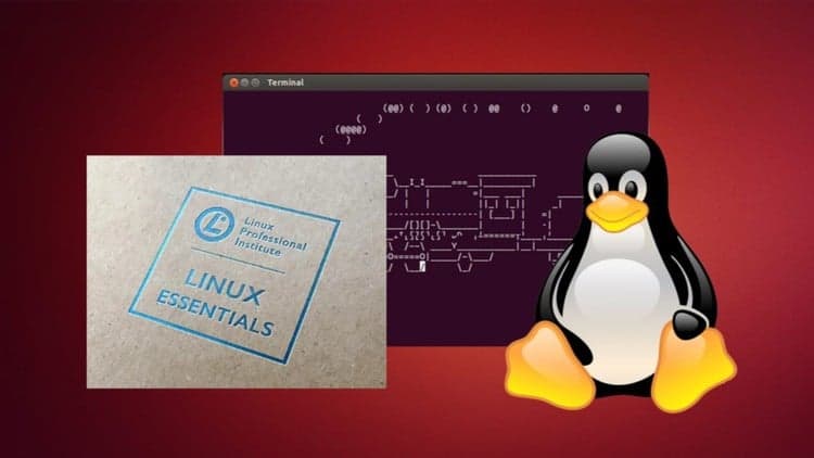 Linux с нуля до сертификата "LPI Linux Essentials"