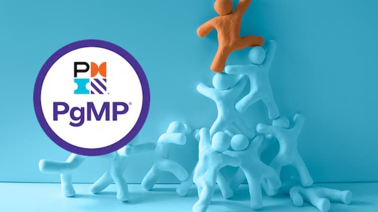 Program Management Professional (PgMP) Practice Exam 2024